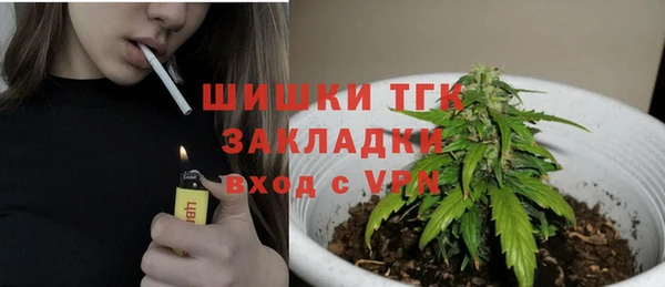 ПСИЛОЦИБИНОВЫЕ ГРИБЫ Алзамай
