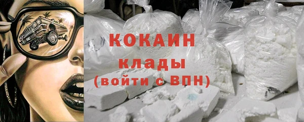 крисы Ростов