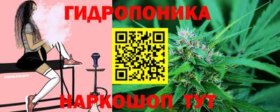 дмт Шелехов