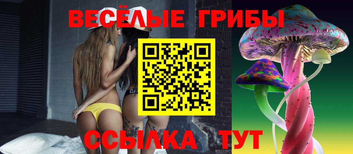 Псилоцибиновые грибы ЛСД Алушта