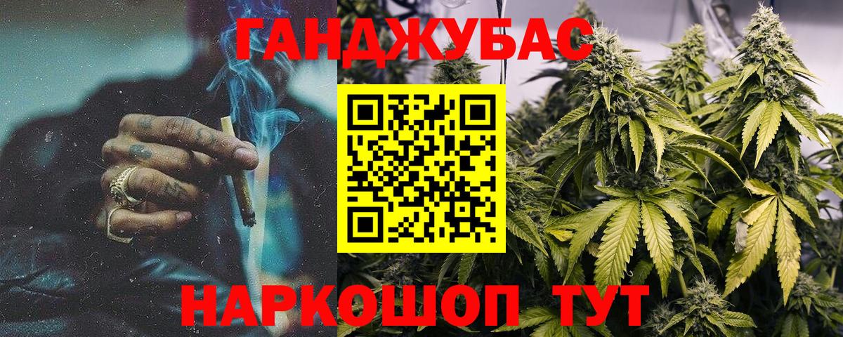 Бошки Шишки планчик Алушта